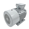 Электродвигатель асинхронный АИС400LВ8 355/750 У2 исп 1081 DIN VEMPER