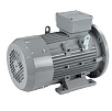 Электродвигатель асинхронный АИС 100LB2 4/3000 У2 исп 2081 DIN VEMPER