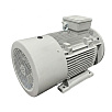 Электродвигатель асинхронный АИС 180L8 11/750 У2 исп 2081 DIN VEMPER