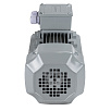 Электродвигатель асинхронный АИР 100L4 4/1500  У2 исп 1081  VEMPER