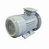 Электродвигатель асинхронный АИР 100L2 5,5/3000  У2 исп 2001  ELAN