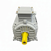 Электродвигатель асинхронный АИР 90L4 2,2/1500  У2 исп 1001  ELAN